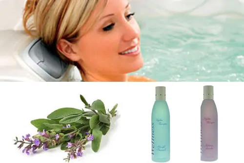 Какие ароматы можно использовать в спа бассейне? Широкая линейка препаратов для ароматерапии в джакузи и бассейнах с противотоком.